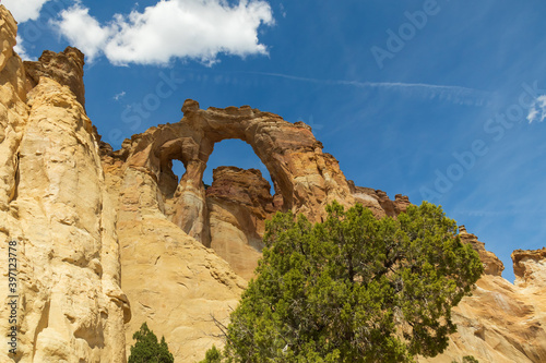 Fotografia, Obraz Grosvenor Arch at Grand Staircase-Escalante National Monument, Utah, USA