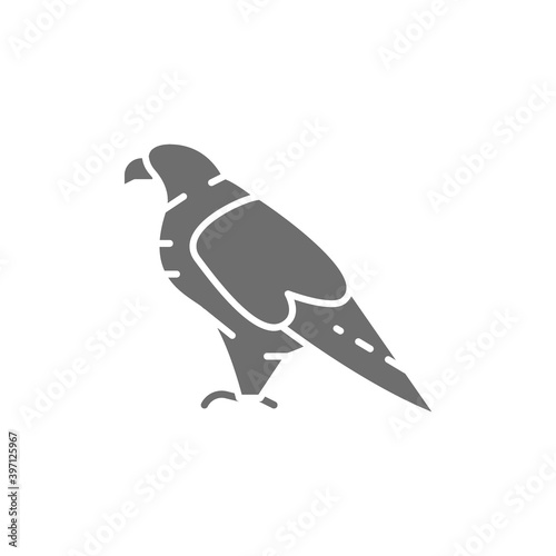 Eagle, falcon, georgian national bird grey icon.