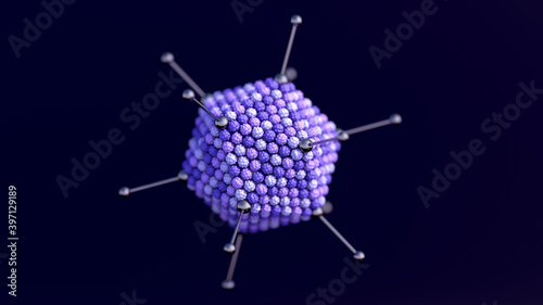 Adenovirus. Adenovirus use for gene therapy and as vaccines to express foreign antigens.
 photo