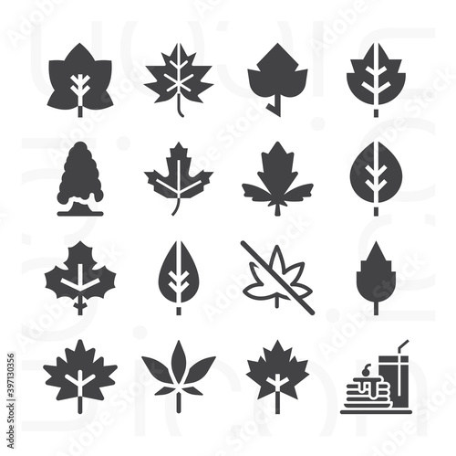 16 pack of probably  filled web icons set