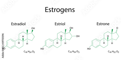 Flat estrogen formulas. Molecular structure. Vector illustration. Stock image. EPS 10.