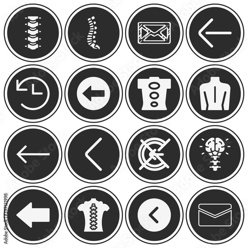 16 pack of vertebral canal  filled web icons set