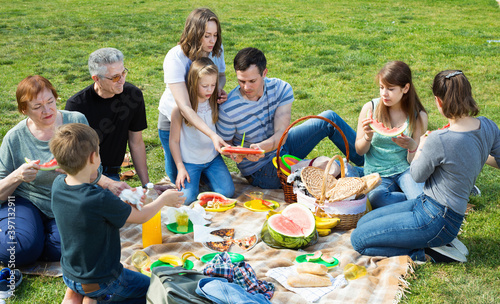 Cheerful people of different ages sitting and talking on picnic