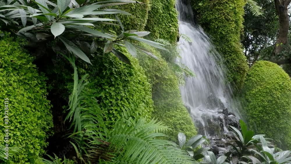 Small waterfall and small ferns rising in the green garden. Small waterfall and small ferns rising in the green garden.
