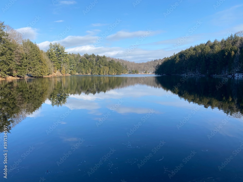 lake in the forest lake in the forest