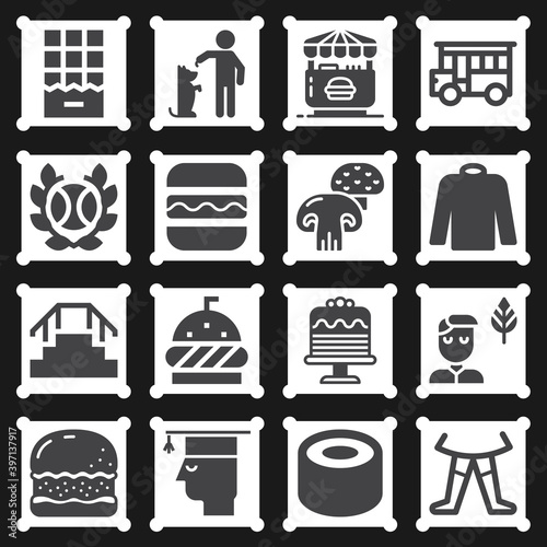 16 pack of initiate  filled web icons set