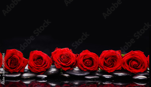 spa still life of with six red rose and zen black stones , wet on background