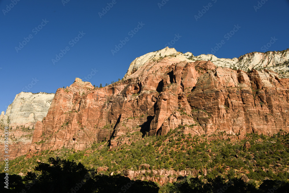 Erosion Carved Face of Zion