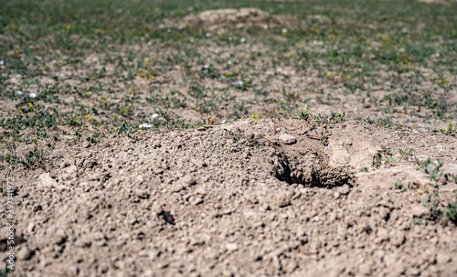 Selective focus on earthen tunnel entrance of a prairie dog hole