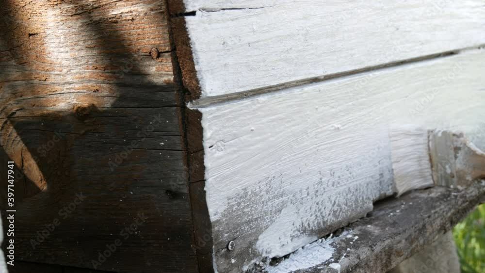 Spring preparation of a bee hive for the summer. Male beekeeper using special white paint and brush to paint wooden boards. Spring preparation of a bee hive for the summer. Male beekeeper using special white paint and brush to paint wooden boards.
