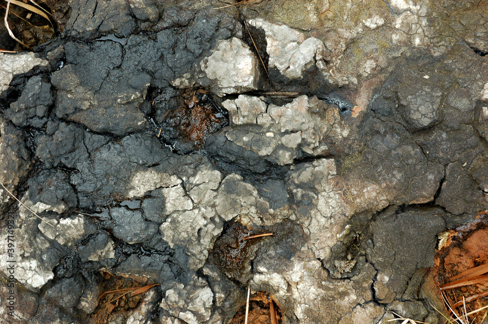 Fototapeta premium Spills of crude oil on the soil surface - environment pollution.