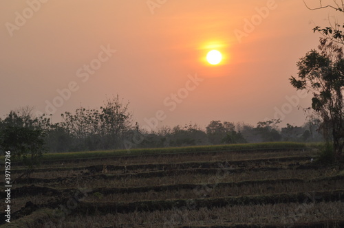 sunset in the field