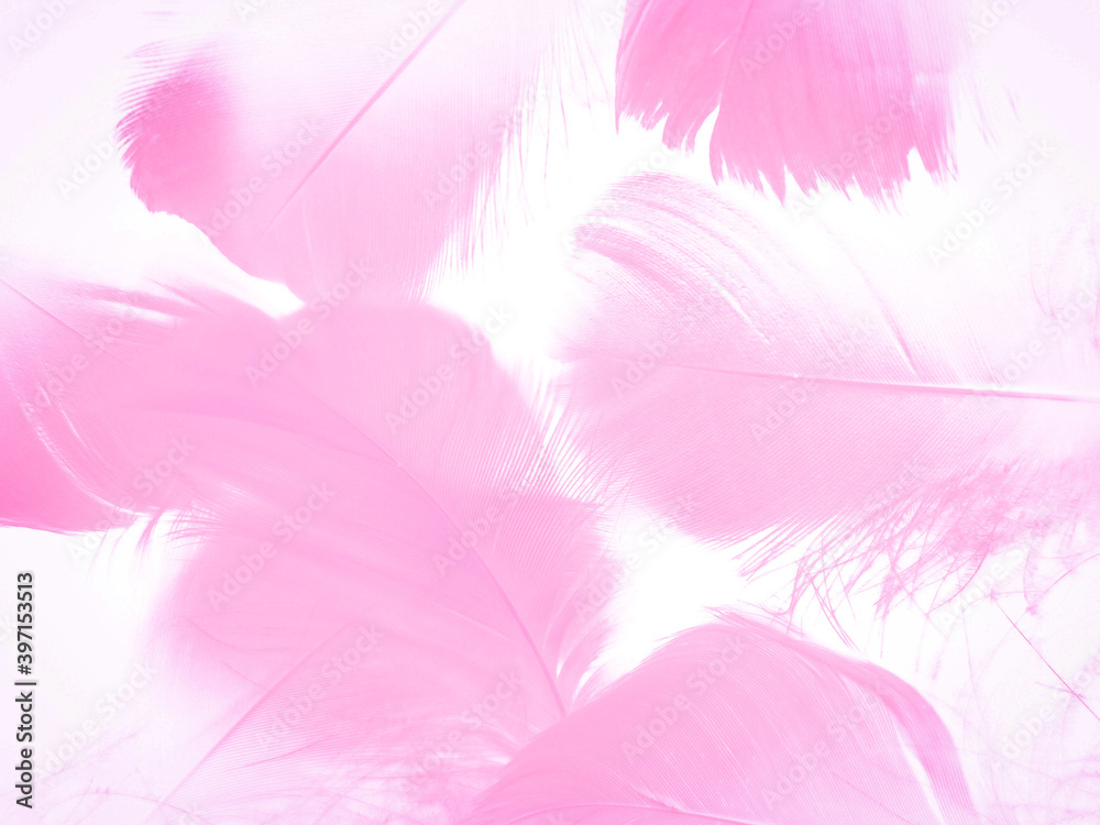Obraz premium Beautiful abstract light pink feathers on white background, white feather frame texture on pink pattern and pink background, love theme wallpaper and valentines day