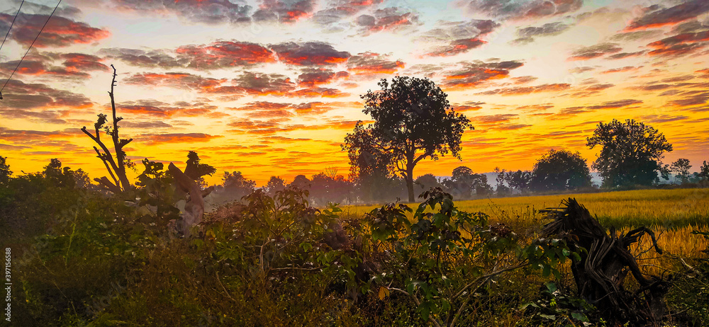 sunrise in the field