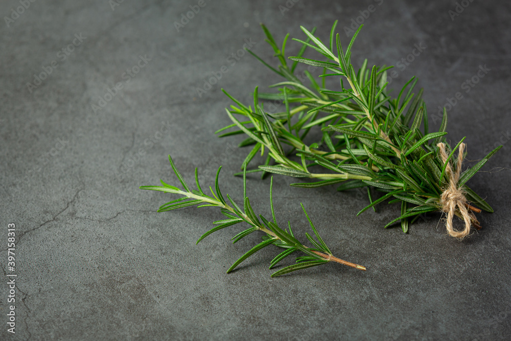 Rosemary plants place on dark floor Rosemary plants place on dark floor