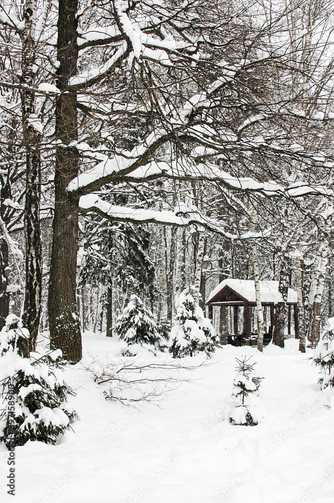 Winter in the forest. Wooden gazebo, covered with snow. Drifts. Trees covered in snow