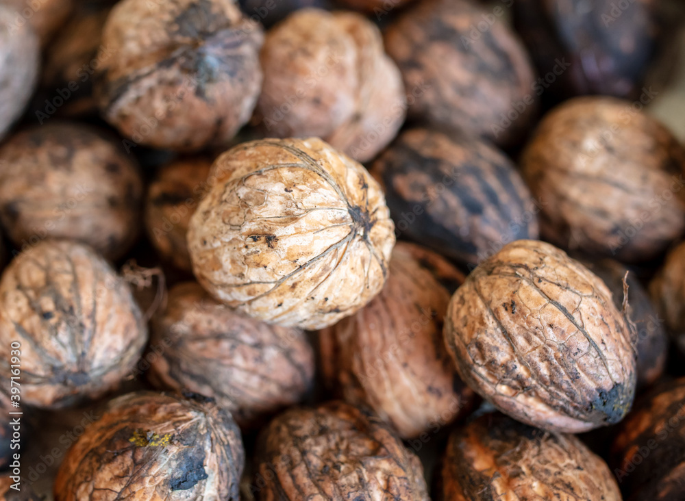Walnut as background. Harvest from garden Walnut as background. Harvest from garden