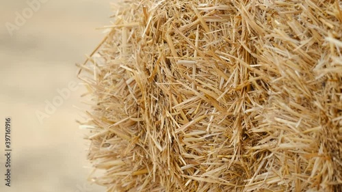 Dry hay bales in field. Close-up bale swing in wind.