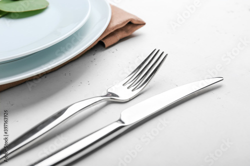 Simple table setting with eucalyptus on light background