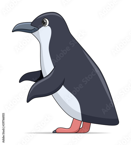 Little penguin bird on a white background