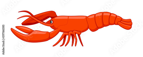 Lobster fish on a white background