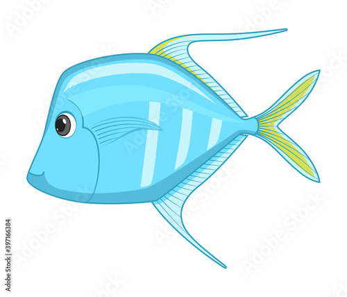 Lookdown fish on a white background
