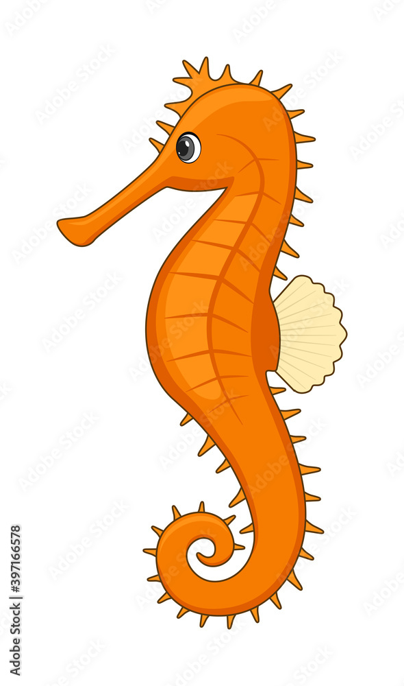 Fototapeta premium Tigertail seahorse fish on a white background