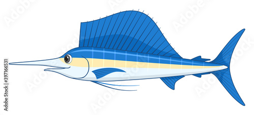 Sailfish fish on a white background