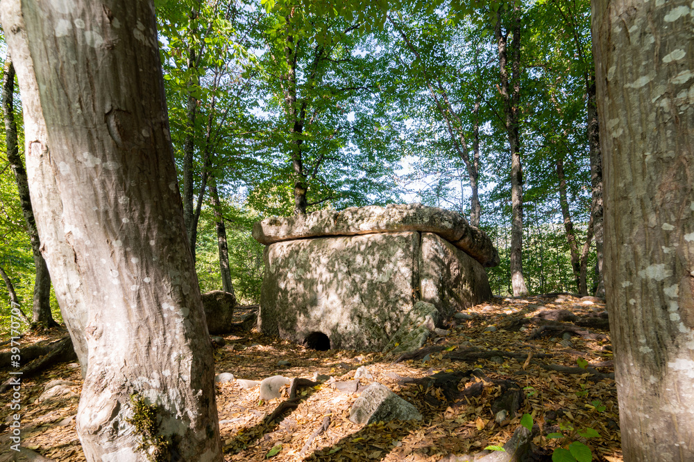 Ancient megalithic tomb dolmen in the forest