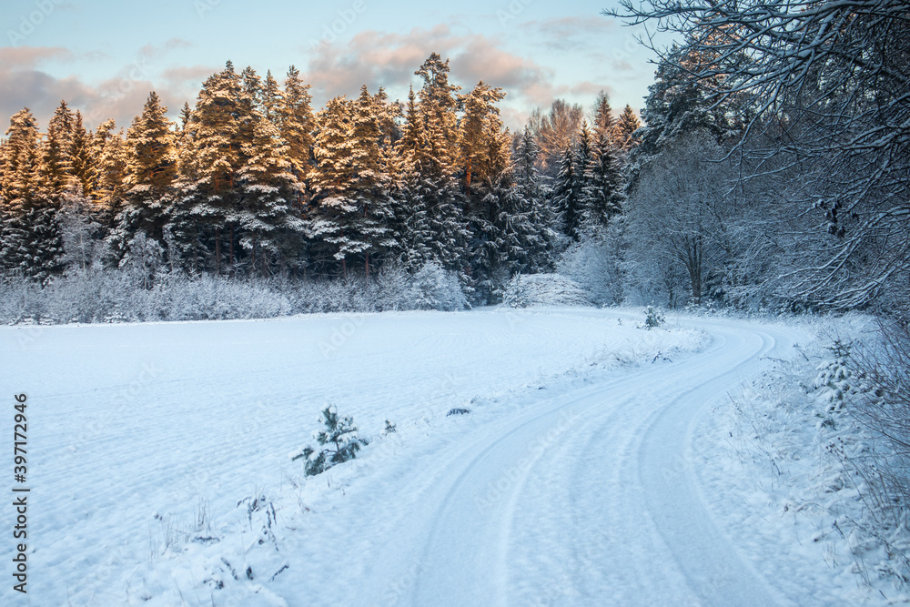 A beautiful, calm winter landscape in the rural area of Latvia, northern Europe. Snow covered nature scenery. A beautiful, calm winter landscape in the rural area of Latvia, northern Europe. Snow covered nature scenery.