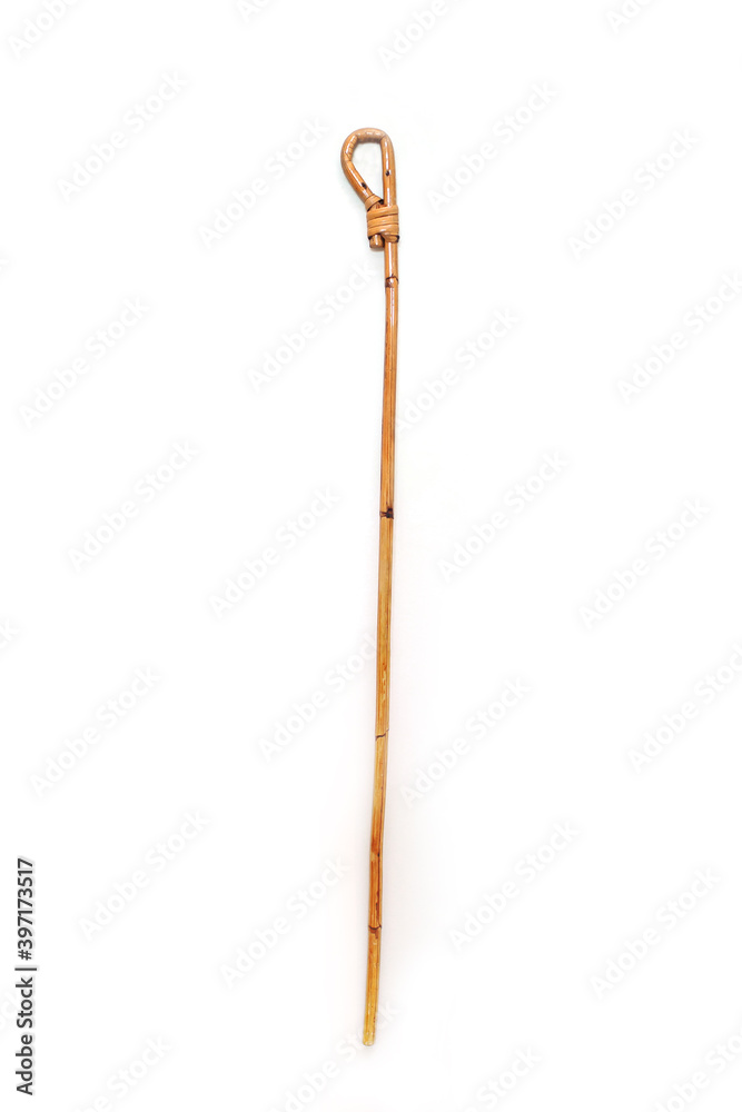 School Cane School Cane