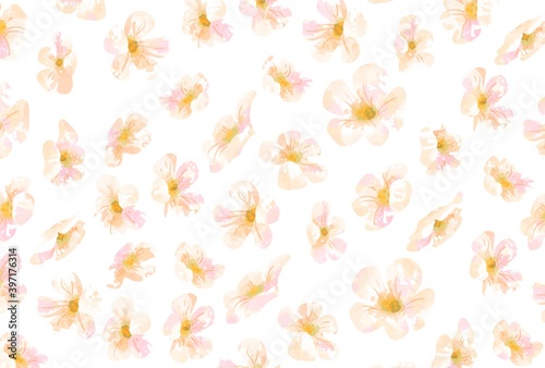 Fototapeta Naklejka Na Ścianę i Meble -  優しいタッチのお花イラスト
