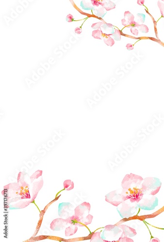 優しいタッチの桜のフレーム