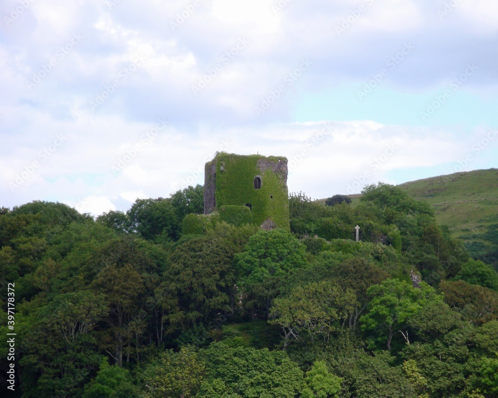 ruins of moss covered castle