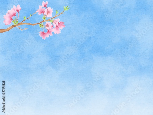 桜のひと枝と青空の背景イラスト　横