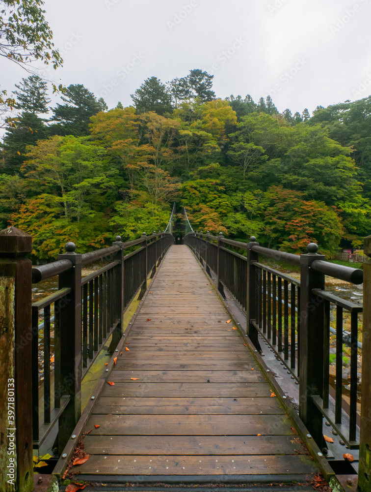 Suspension bridge in a valley (Tochigi, Japan)