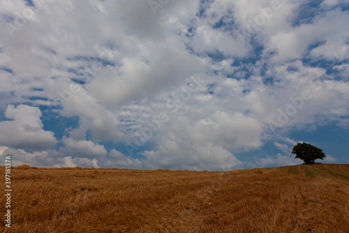 Eber lake, Bolvadin, Afyon / Turkey photo