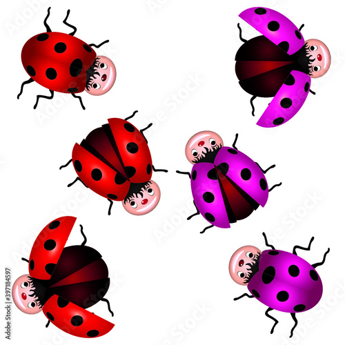 set of ladybugs