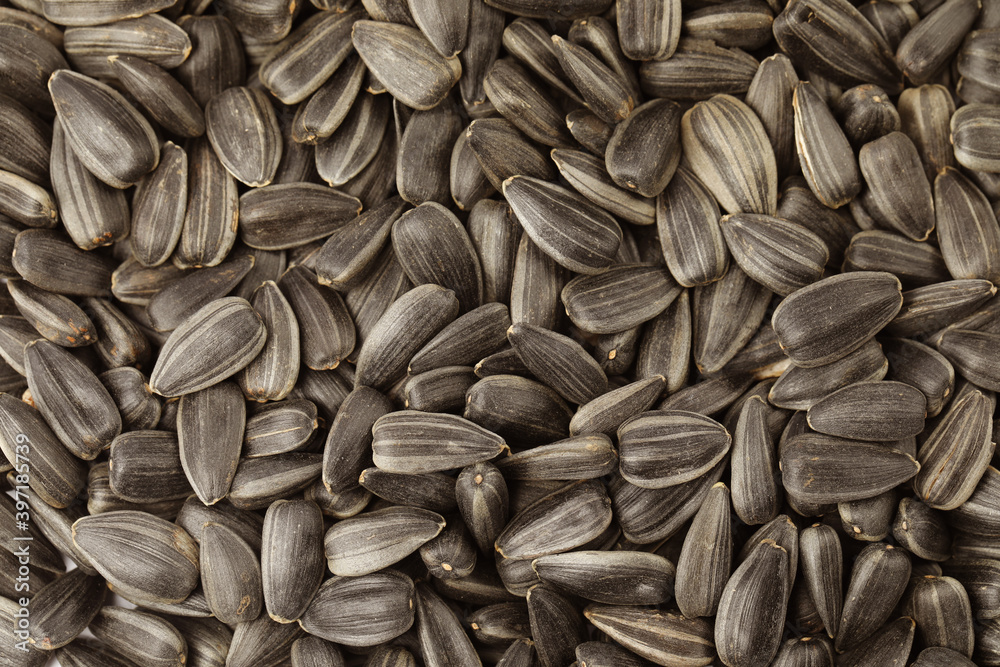 Raw sunflower seeds as background, top view Raw sunflower seeds as background, top view
