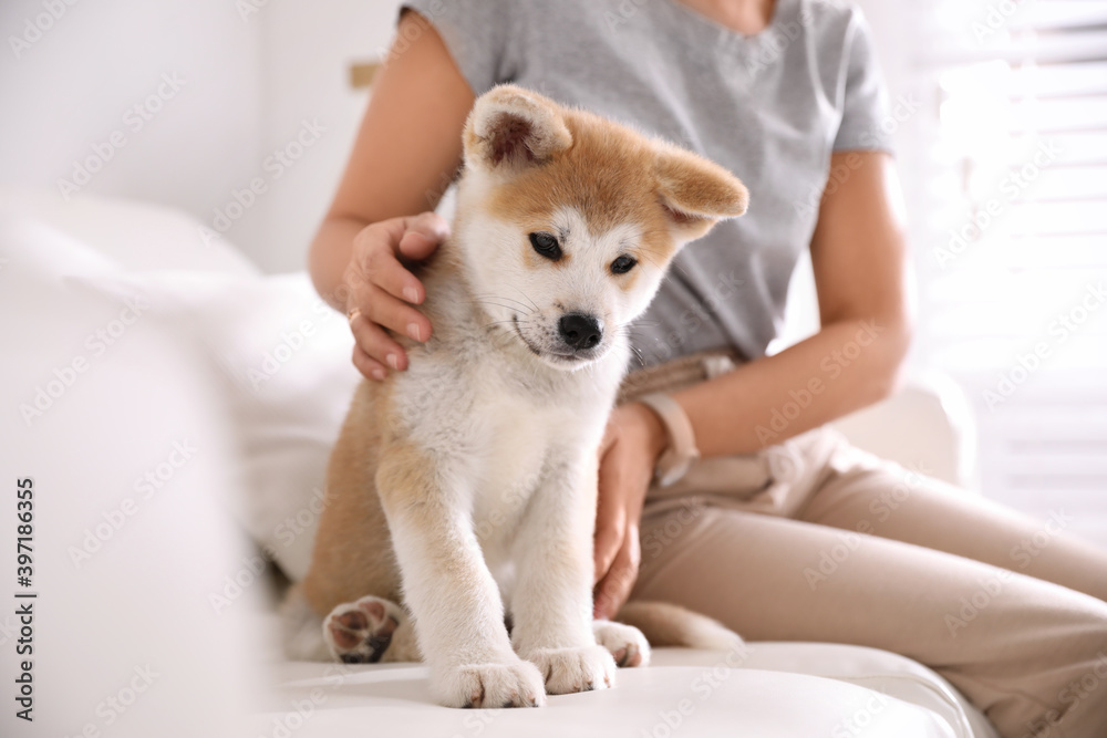Woman with adorable akita inu puppy sitting on sofa indoors, closeup Woman with adorable akita inu puppy sitting on sofa indoors, closeup
