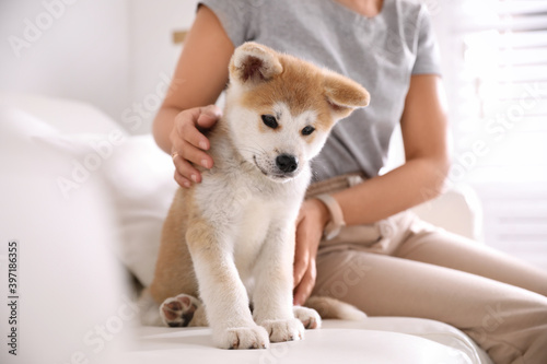 Woman with adorable akita inu puppy sitting on sofa indoors, closeup