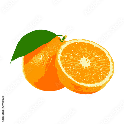 Orange whole and slices of oranges. Vector illustration of oranges. Fully editable handmade mesh. Eps 10 vector illustration.
