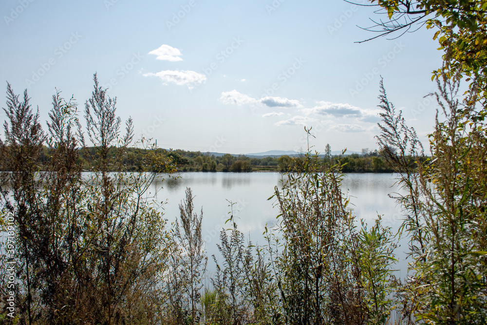 Obraz premium Autumn. Forest Lake. View from the shore