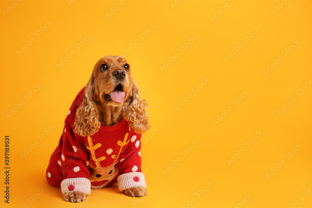 Cocker spaniel deals christmas sweater