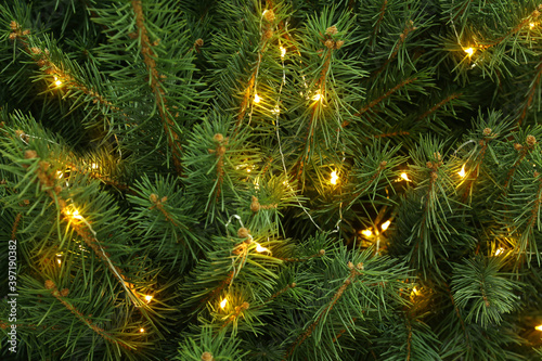 Glowing bright fairy lights on Christmas tree