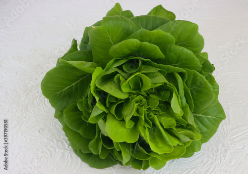 Selada. Green butter lettuce vegetable isolated. photo