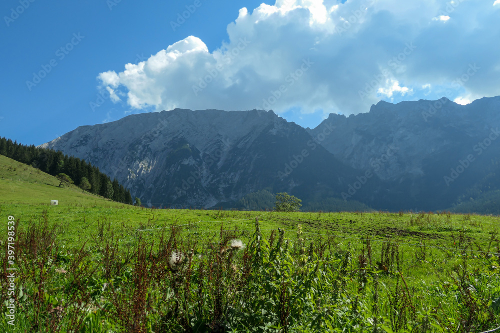 Fototapeta premium Distant view on Grimming, the highest self standing mountain in Alps, Austria. There is a lush green meadow in front and a narrow road. Clear and bright day. Thicker clouds over the high Alpine peak