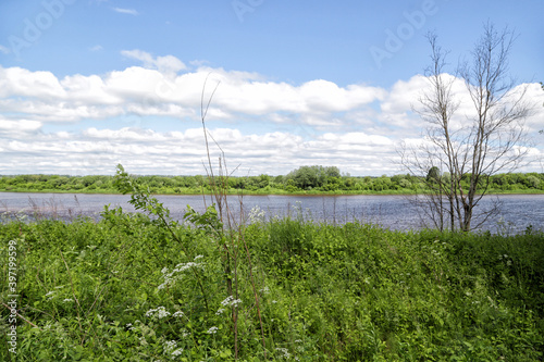 Summer landscape with a river and flowering fields near the city of Miory, Belarus