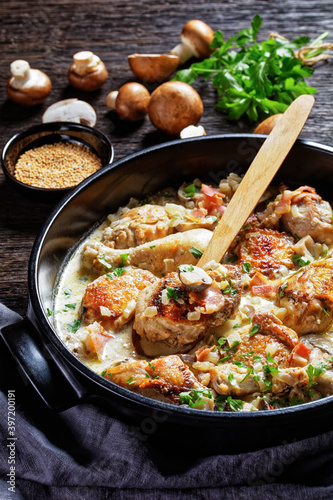 Slika na platnu White Wine Coq au Vin, top view