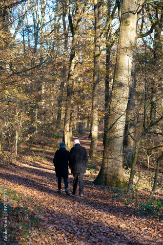 couple en promenade dans la forêt © AlcelVision